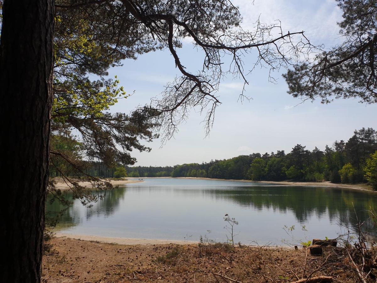 Ermerhoek, In De Hof Экстерьер фото